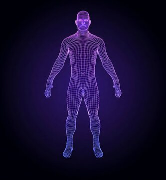 3d human body wireframe model with purple glow effect