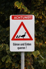 Schild Gänse und Enten queren © Martina Berg