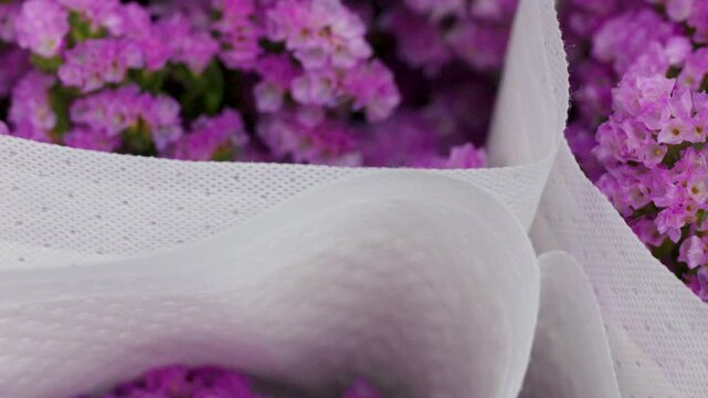 Fresh Purple Statice Flowers Wrapped in Paper at Floral Market