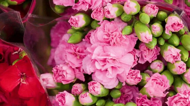 Fresh Red and Pink Carnation Bouquets Wrapped in Plastic