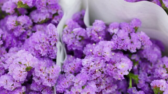 Close Up of Purple Statice Flowers Wrapped in White Paper