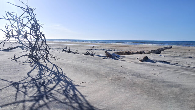 Sand dunes of North Sea beach near Grenen. Grenen is in central part of Danish Straits.