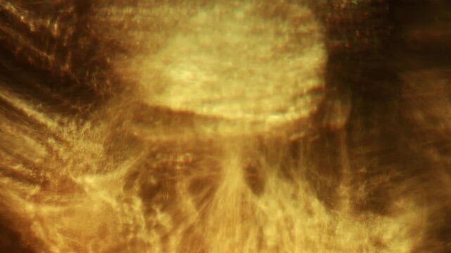 Warm sunlight refracts through a faceted crystal vase, casting flowing golden caustics and abstract glowing patterns in close-up.