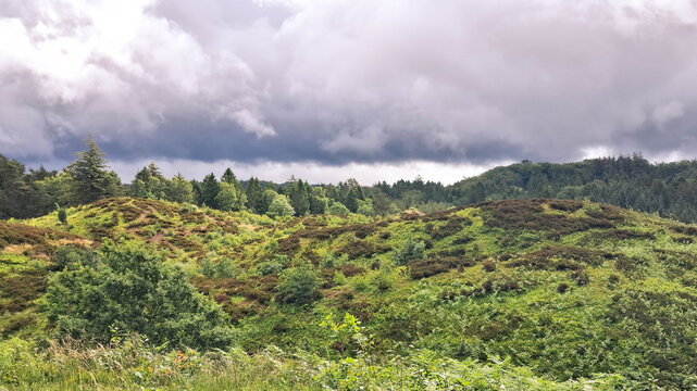 Moraine hills near Himmelbjerget in central Jutland. Denmark.