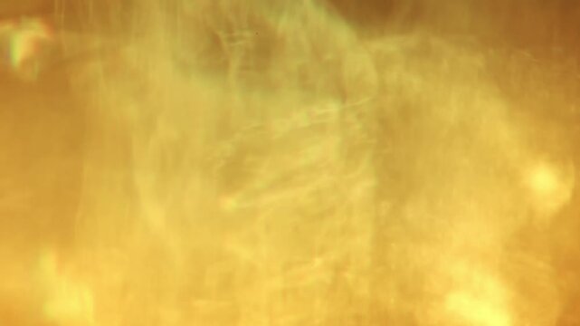 Warm sunlight refracts through a faceted crystal vase, casting flowing golden caustics and abstract glowing patterns in close-up.