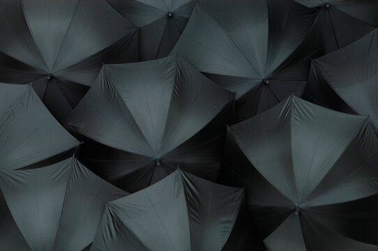Open black umbrellas, close up