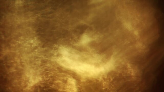 Warm sunlight refracts through a faceted crystal vase, casting flowing golden caustics and abstract glowing patterns in close-up.