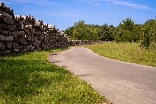 road in the countryside with chopped wooden logs