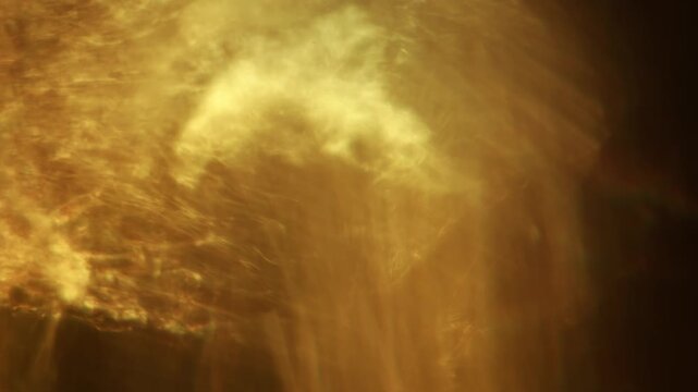 Warm sunlight refracts through a faceted crystal vase, casting flowing golden caustics and abstract glowing patterns in close-up.