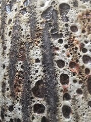 rusty metal background © Jakub