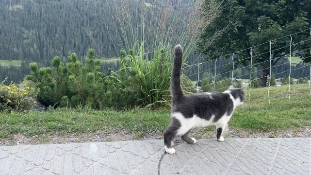 Davos in den Bergen.