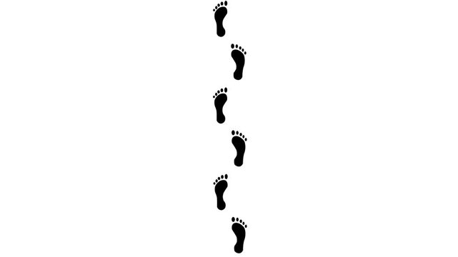 Animated Human Barefoot Footprints Appearing from Bottom to Top, Seamless Walking Path Footsteps sign or icon animation Transparent white Background animation