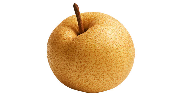 Round golden Asian pear with textured skin and brown stem