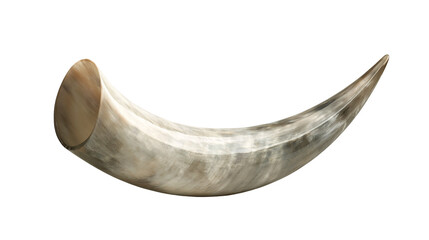Polished natural animal horn with curved shape and marbled texture © Anouk