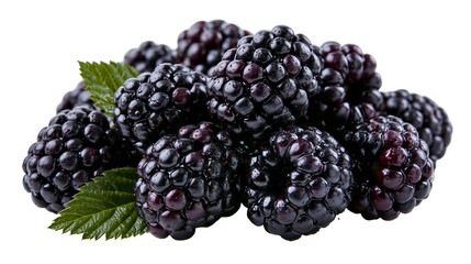 Fresh ripe blackberries with green leaves clustered together © Anouk