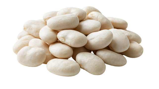 Heap of raw dried white lima beans or butter beans