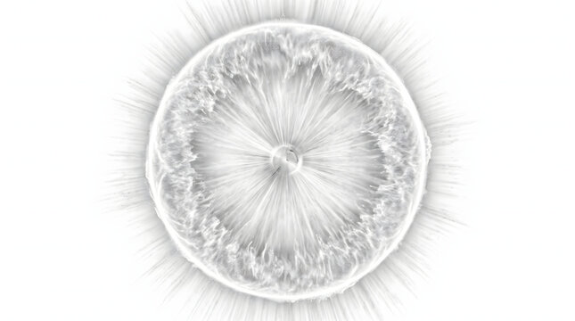 Monochrome circular blast sphere with dense radiating textured energy rays and sharp shockwave spikes bursting from the core against an isolated white background in a modern science graphic