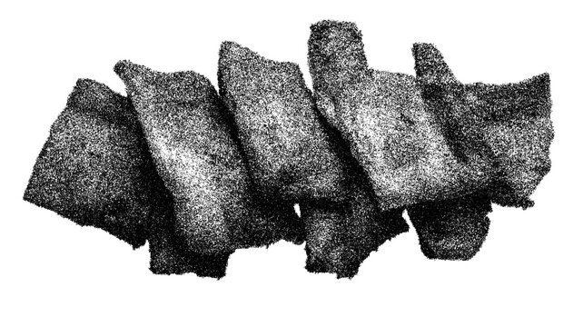 Traditional bolivian chicharr&oacute;n for culinary adventures and spring festivities - transparent background png. Stipple, halftone dots, transparent background