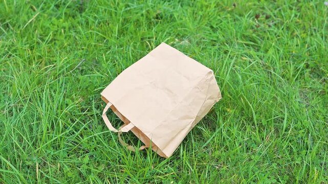 A brown paper bag rests on green grass, showcasing its folds and handles. The bag appears empty and is positioned upright on the ground, surrounded by grass