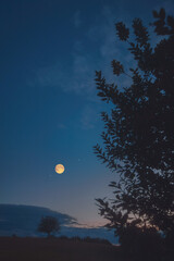 Full Moon, stars and planets above landscape silhouettes in blue hour time. © astrosystem