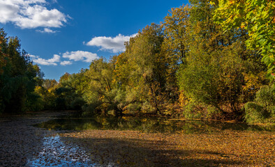 Autumn leaves drift across a still, reflective pond © molakaliva