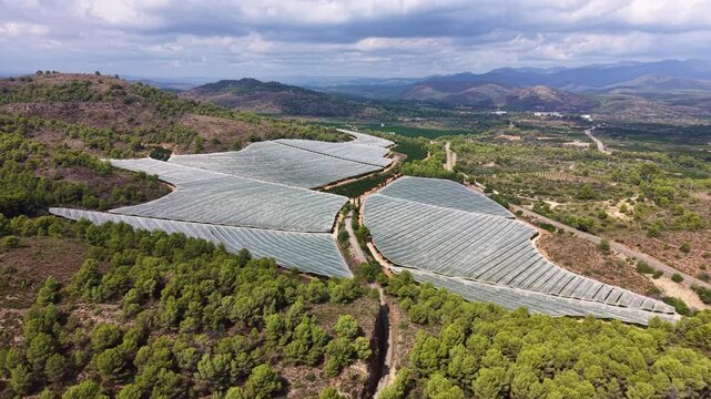 Top view of shade-netted citrus orchards forming organic patterns across a hillside in Spain, with pine forest, agricultural terraces and layered mountains under cloudy sky