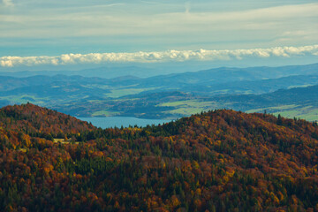 Fototapeta premium view of the lake and forest