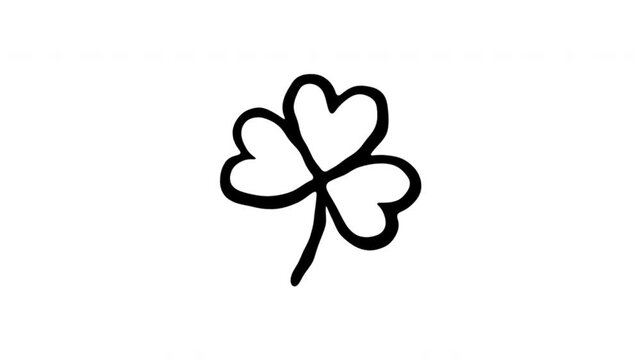 Four Leaf Clover For Good Luck And Fortune Doodle Animation With Alpha Channel. Shamrock Symbol And Irish Celebration. Animated Hand-Drawn Icon For Video Overlay 4K.