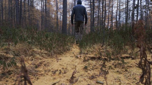 A person in camouflage pants and a dark jacket walks away along a narrow dirt path through a forest of tall, thin trees and dry underbrush, gradually disappearing into the distance.