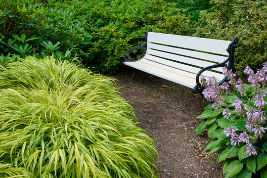 Close-up of a classic white wood and metal bench in a park.