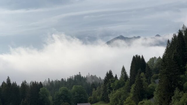 Laax im Sommer