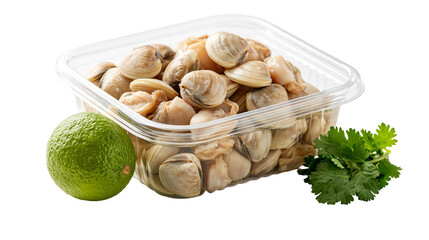 Fresh raw clams in a plastic container with a whole lime and cilantro sprig © Uxia