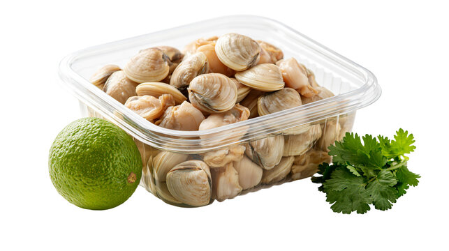 Fresh raw clams in a plastic container with a whole lime and cilantro sprig