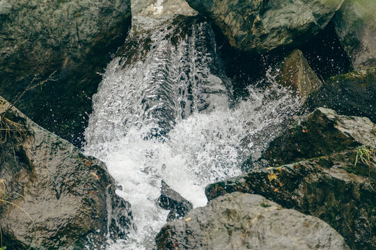 Close up of powerful water splash in mountain river stream rocks