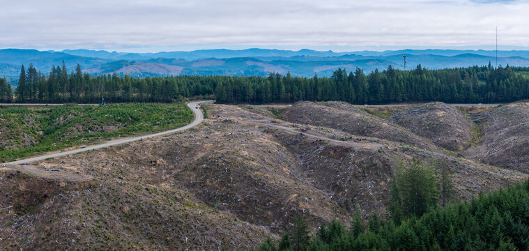 Aerial view of deforestation clear-cuts with a winding road cutting through the landscape in Bandon, OR, United States.