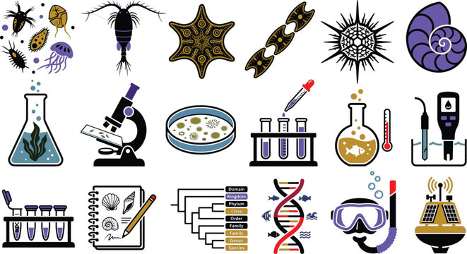 Marine biology research laboratory study showing plankton organism microscope flask petri dish dna strand snorkel equipment