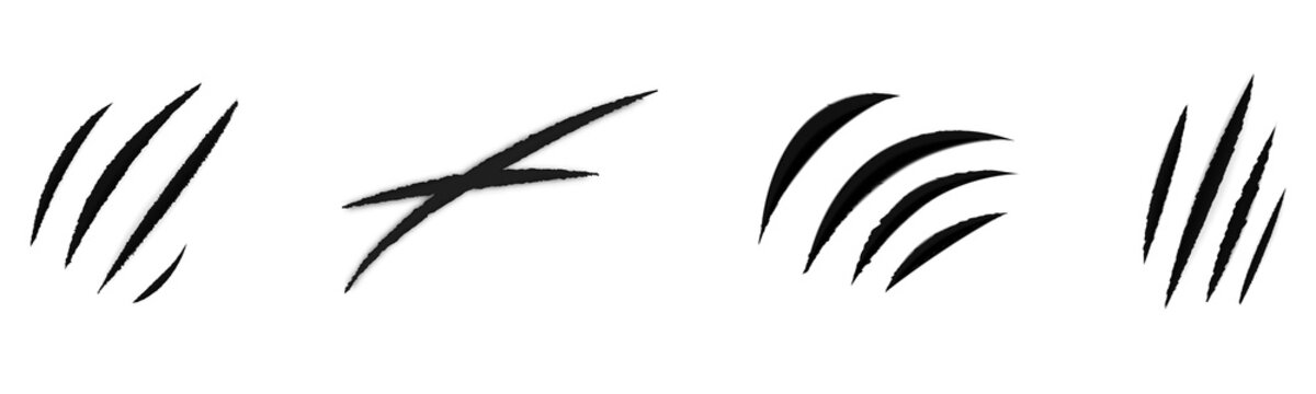Four sets of jet-black talon rakes with torn jagged edges, showing curved and crossed tear marks arranged in a row on white