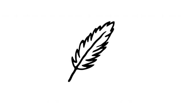Quill Feather For Writing And Literary Communication Doodle Animation. Writing Quill And Authoring Symbol. 4K Video Loopable Overlay Element. Hand-Drawn Animated Icon With Alpha Channel.