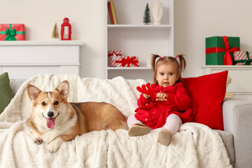 Fototapeta premium Christmas family traditions, toddler girl and corgi dog sitting on sofa with holiday gifts and festive home decor in a cozy living room interior