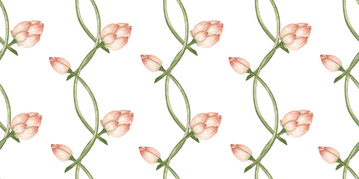 Lotus buds in a repeating watercolor pattern, isolated from background. Botanical design for fabric, wallpaper, stationery, packaging, invitations and crafts.