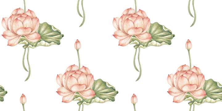 Lotus buds, flowers and leaves in a watercolor pattern, isolated from background. Botanical design for fabric, wallpaper, stationery, packaging, invitations and scrapbooking.