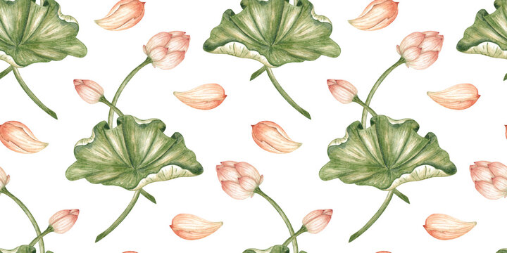 Lotus buds, leaves and petals in a watercolor pattern, isolated from background. Botanical design for fabric, wallpaper, stationery, packaging, invitations and scrapbooking.