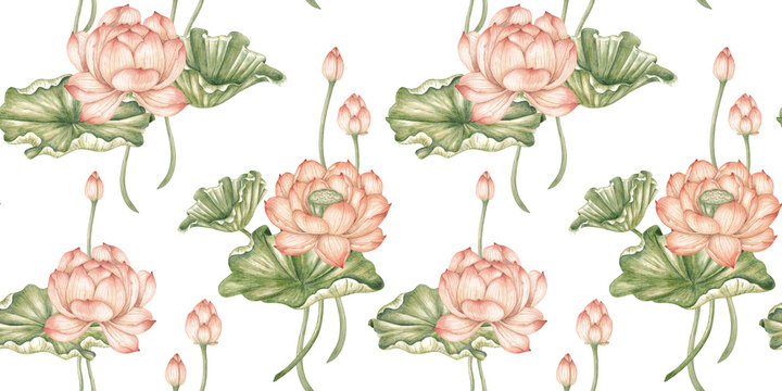 Lotus flowers, buds and foliage in a watercolor pattern, isolated from background. Botanical artwork for fabric, wallpaper, gift wrap, cards and home decor.