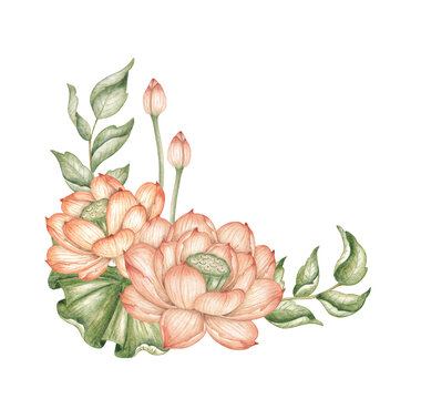 Lotus flowers, buds and leafy green branches forming a corner frame, watercolor illustration isolated from background. Floral design for invitations, stationery, packaging and cards.
