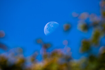 La lune en plein jour - Octobre © aquaphoto