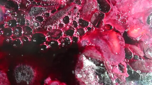 Grapes undergoing fermentation in a glass carboy. Carbon dioxide release during winemaking.
