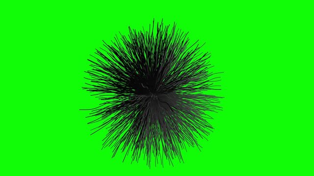 Black fuzzy hair sphere with fine moving spines isolated against a solid bright green screen background for video compositing in 3D