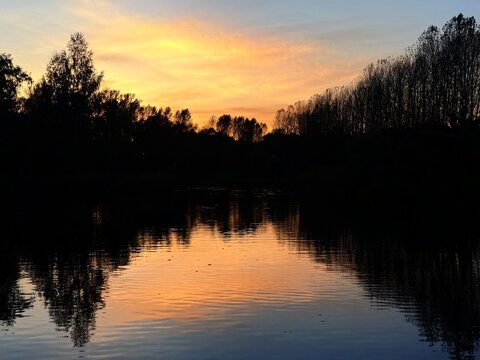 trees silhouettes reflection on the pond surface, beautiful yellow sunset sky, golden fall