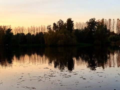 trees silhouettes reflection on the pond surface, beautiful yellow sunset sky, golden fall