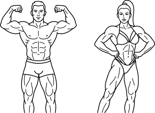 bodybuilder vector outline set fitness gym couple flexing muscles graphic element isolated on white background